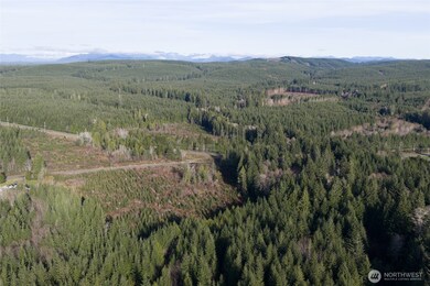 0 NKA Bowes Rd, Hoquiam, WA 98550 - photo 6