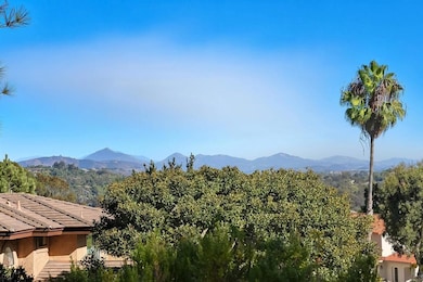 2206 Running Spring Place, Encinitas, CA 92024 - photo 5