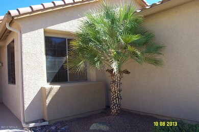 Great Palm Tree