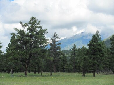 Pugh Lockett Ranches 16E 092