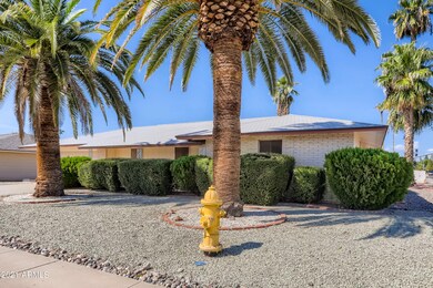 10702 W Pineaire Dr, Sun City, AZ 85351 - photo 3