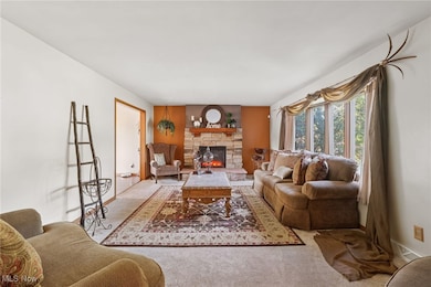 Living room featuring a fireplace and carpet flooring