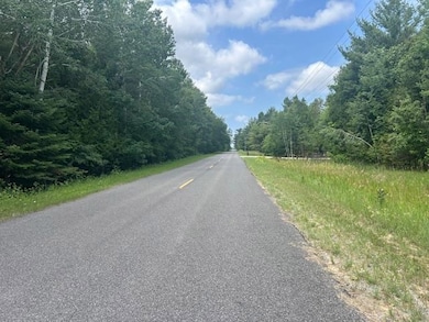 TBD Elder Rd, Carp Lake, MI 49718 - photo 3