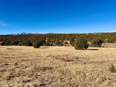 118 Rainmaker Dr, Alto, NM 88312 - photo 2