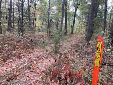 V/L S Spruce, Newaygo, MI 49337 - photo 5