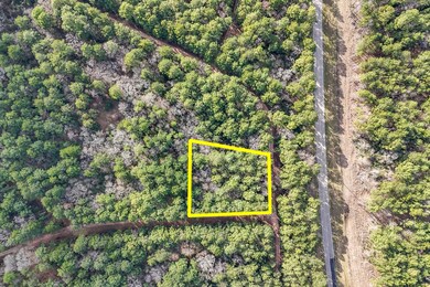 0 E Hickory Bow Ln unit 69902885, Waller, TX 77445 - photo 3