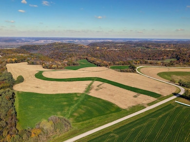 61+/-AC County Road M, Boscobel, WI 53805 - photo 3