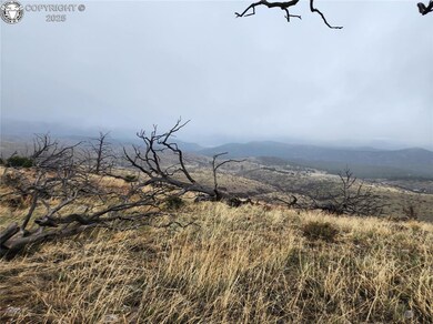000 K Path, Cotopaxi, CO 81223 - photo 5