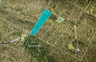 Lot 10 Independence Ln, New Market, VA 22844 - photo 7