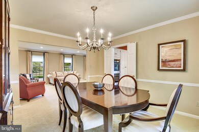 9404 Althea Ct, Potomac, MD 20854 - photo 7