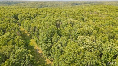 Drone / aerial view of a forest