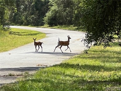 1628 E Derby Dr, Dunnellon, FL 34434 - photo 7