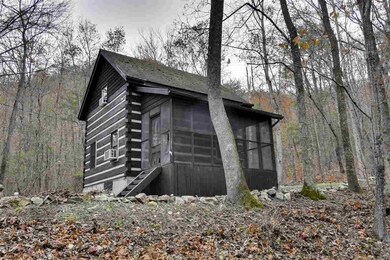 1875 Irish Creek Rd, Vesuvius, VA 24483 - photo 2