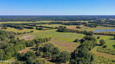 0 Middleton Rd, Flora, MS 39071 - photo 3