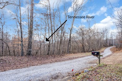 60 Smith Ln, Stewart, TN 37175 - photo 3