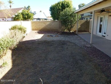 023-224231 - Backyard 3
