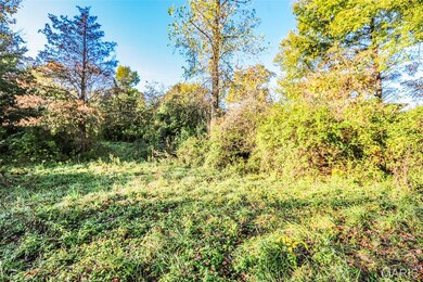 4591 Highway W, Byrnes Mill, MO 63051 - photo 7