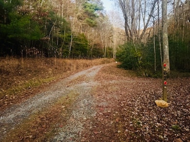 LT 9 Timberline Rd, Murphy, NC 28906 - photo 4