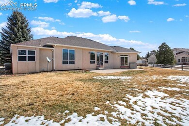 Large, fenced back yard!