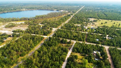 0 NW Lakeview Rd unit A11816327, Altha, FL 32421 - photo 5