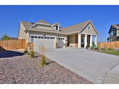 14345 Forest St, Thornton, CO 80602 - photo 3