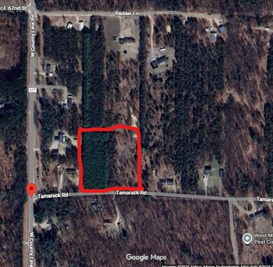 0 0 W Tamarack Rd unit 25058152, Newaygo, MI 49337 - photo 3