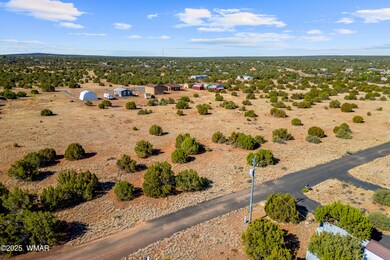 8487AlpinePl-ShowLow-AZ-4