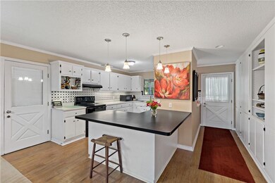 Updated kitchen with lots of storage.  The door on