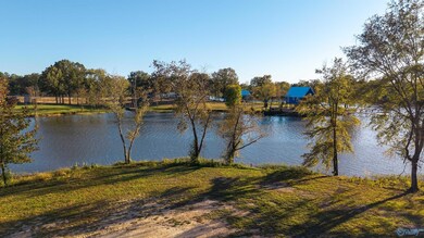Lot 29 County Road 115, Cedar Bluff, AL 35959 - photo 3