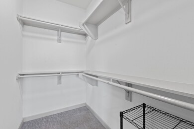 Spacious closet featuring carpet flooring