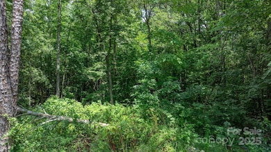 0 Rolling Rd unit CAR4287362, Lincolnton, NC 28092 - photo 6