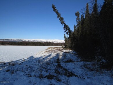 IMG_1223.jpg