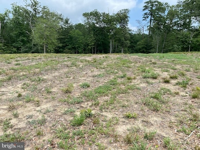 30822 White Cypress Cove, Laurel, DE 19956 - photo 7