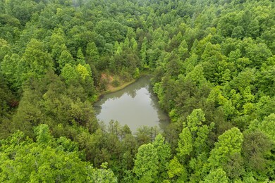 20-web-or-mls-DJI_0057