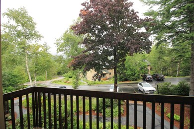 6 Windsor Hill Way unit 54, Waterville Valley, NH 03215 - photo 7