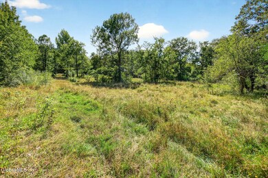 189 Sutton Rd, Cornwallville, NY 12418 - photo 5