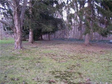 Yard/Garden