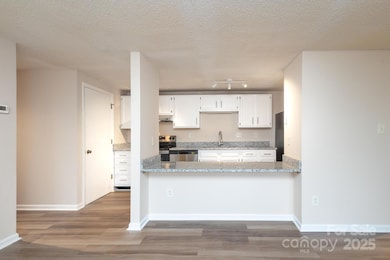 9500 Shannon Green Dr unit C, Charlotte, NC 28213 - photo 5