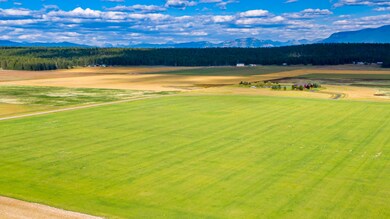 DJI_0534