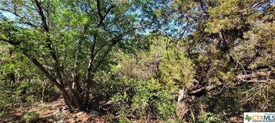 15987 Salado Dr, Temple, TX 76502 - photo 4