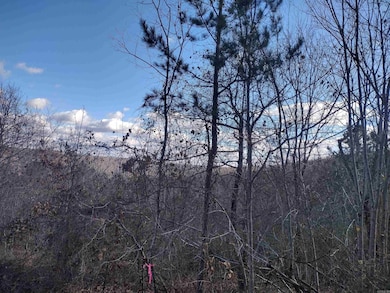 0000 Sunnyland Rd, Mountain View, AR 72560 - photo 5