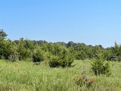 0 Vieux Rd unit 2410658, Arpelar, OK 74501 - photo 3