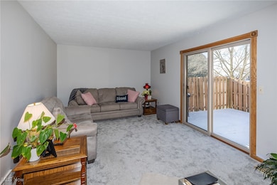 1132 N Carpenter Rd, Brunswick, OH 44212 - photo 3