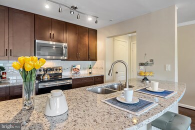 2602 Squaw Valley Ct unit 12, Silver Spring, MD 20906 - photo 7