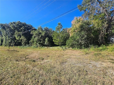 4322 N Carl G Rose Hwy, Hernando, FL 34442 - photo 3