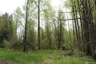 unlisted-address, Graham, WA 98338 - photo 7