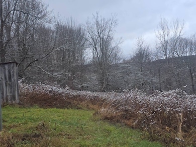 0WP Piety Hill Rd, Cincinnatus, NY 13040 - photo 7