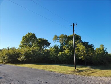 Lot 11 Candis Ct, Springtown, TX 76082 - photo 4