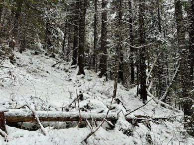 Heavily wooded