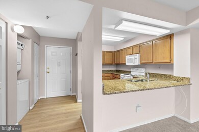 7317 Eden Brook Dr unit H403, Columbia, MD 21046 - photo 4